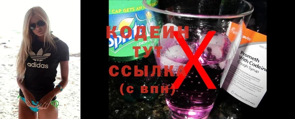 индика Липки