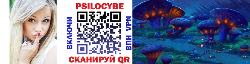 kraken как зайти  Могоча  Галлюциногенные грибы Cubensis  наркотики 